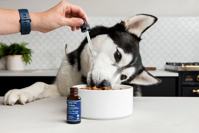 Pet Supplements